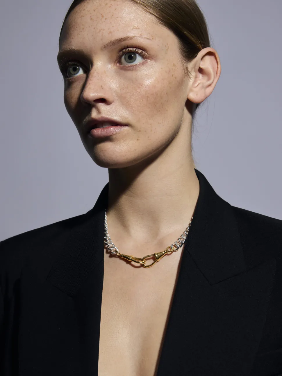 Large Silver and Gold Curb Clipt Necklace