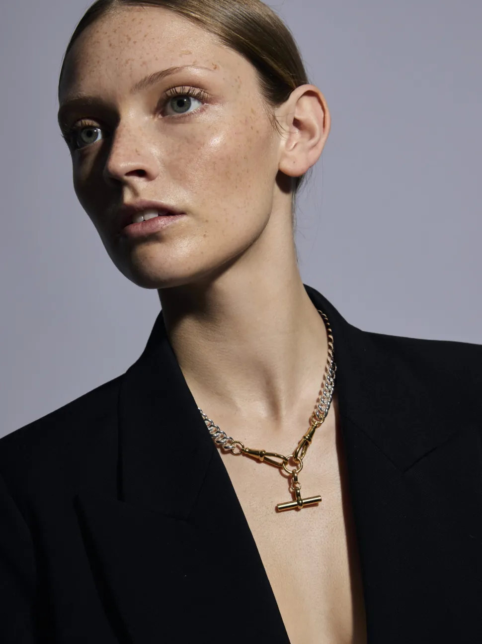 Medium Gold T-bar on Large Silver and Gold Curb Clipt Necklace