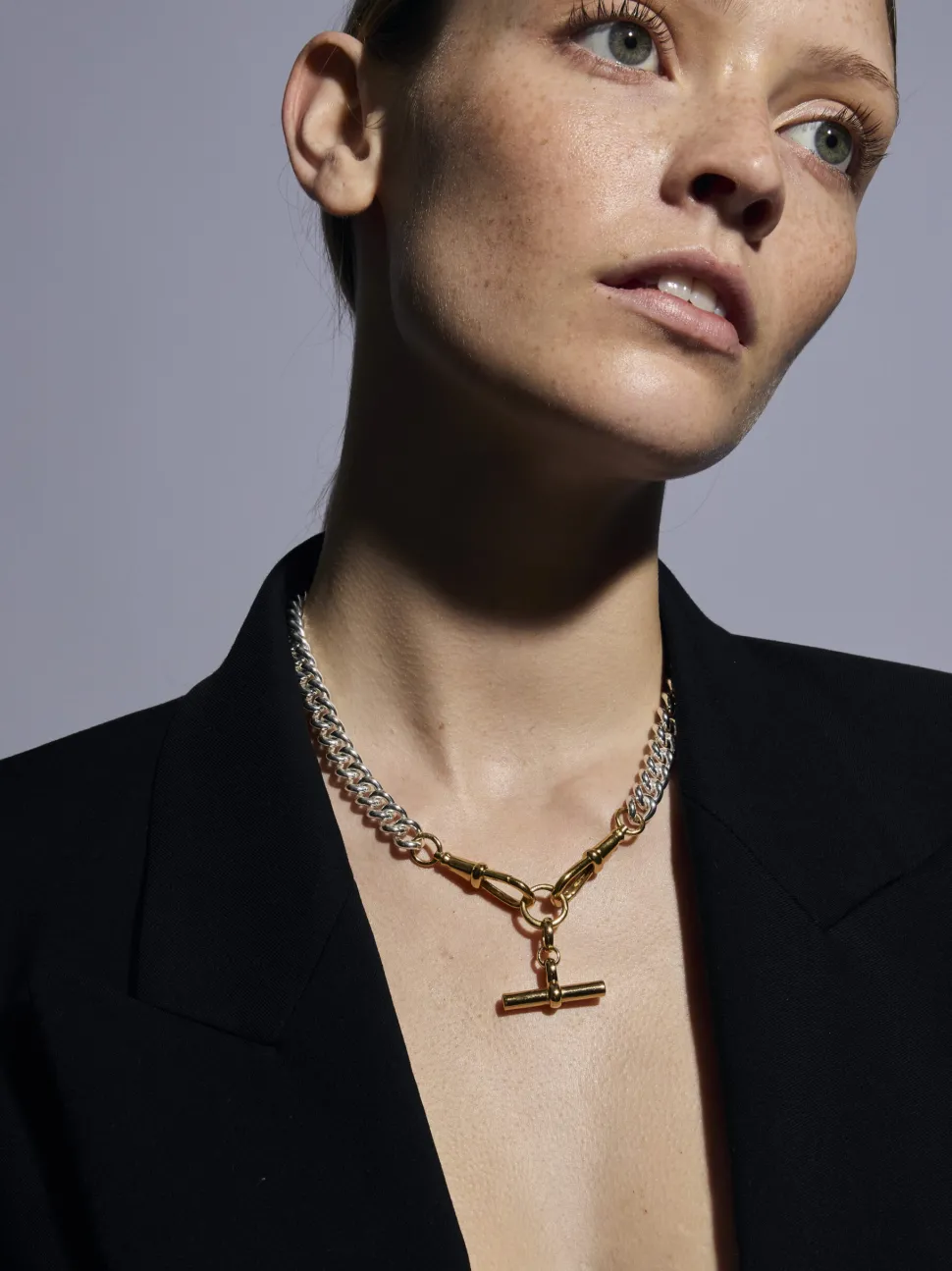 Medium Gold T-bar on Large Silver and Gold Curb Clipt Necklace