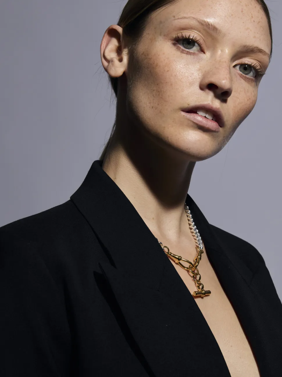 Medium Gold T-bar on Large Silver and Gold Curb Clipt Necklace
