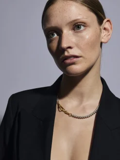 Medium Silver and Gold Curb Clipt Necklace