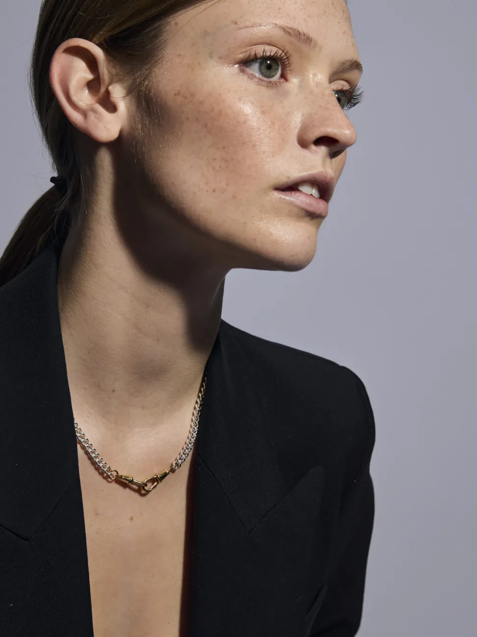Slim Silver and Gold Curb Clipt Necklace