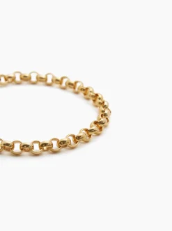 Small Gold Rolo Link Necklace