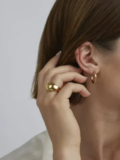 The Gold Egg Ring