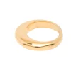 The Gold Slice Ring